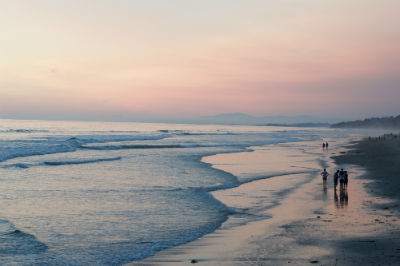 5 Best Gardens and Nature Reserves in San Diego